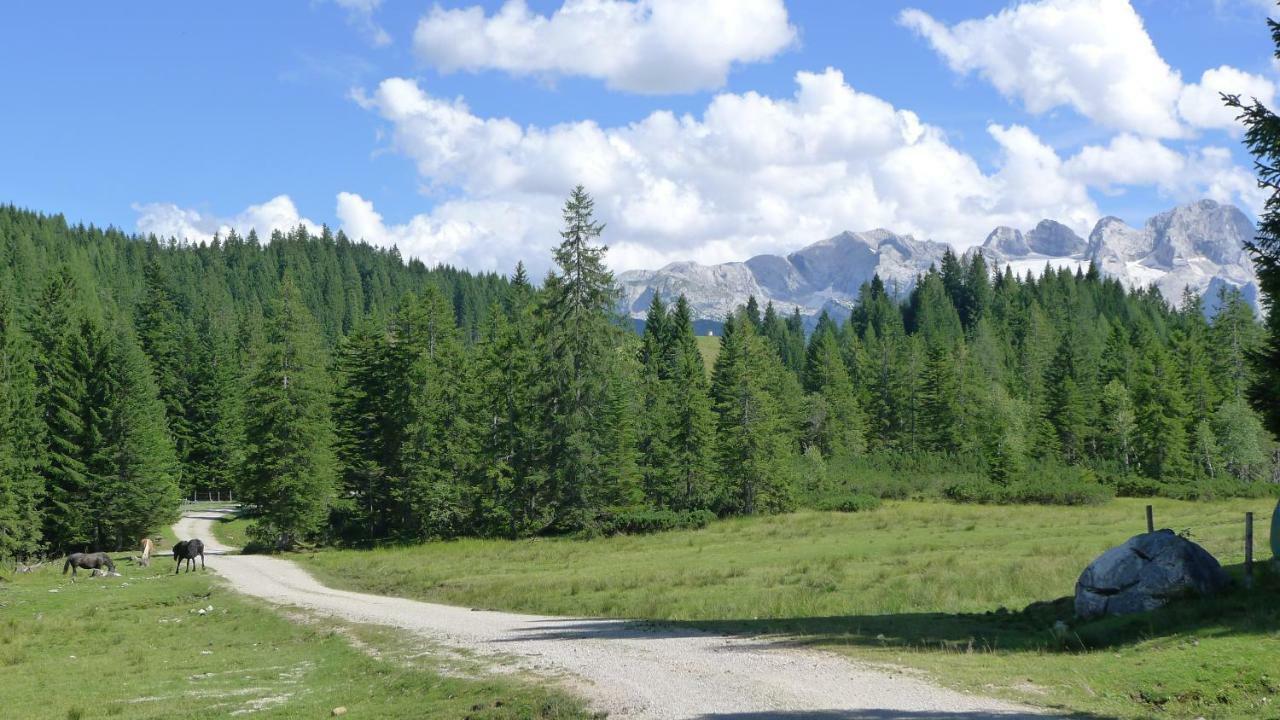 Апартаменти Alpenhaus Dachstein.Zauber Абтенау Екстер'єр фото