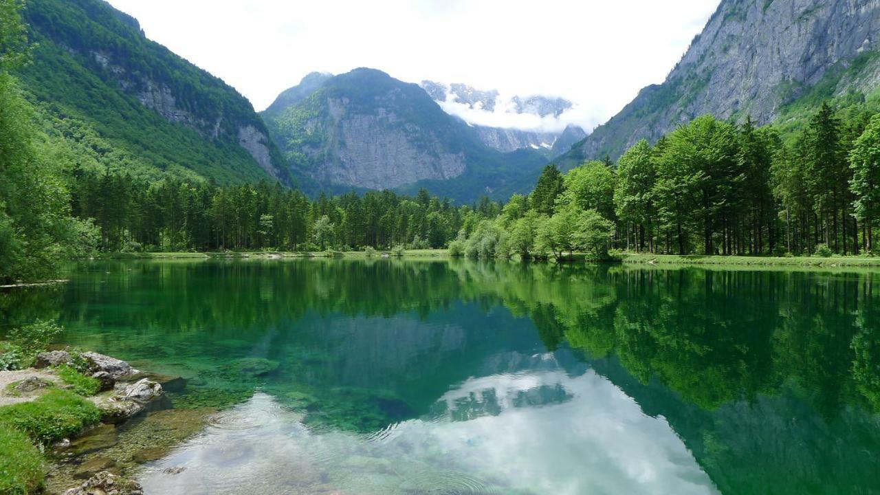 Апартаменти Alpenhaus Dachstein.Zauber Абтенау Екстер'єр фото