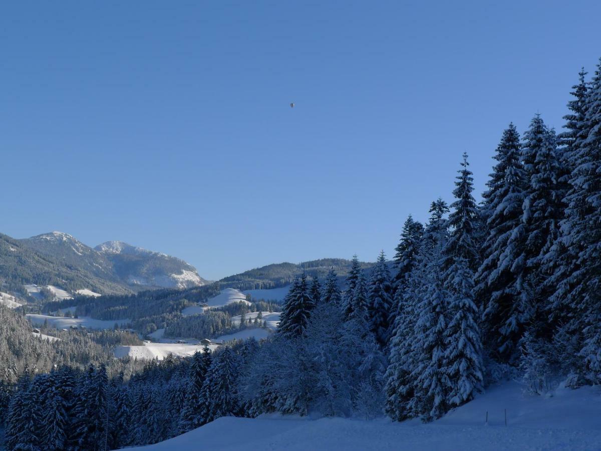 Апартаменти Alpenhaus Dachstein.Zauber Абтенау Екстер'єр фото